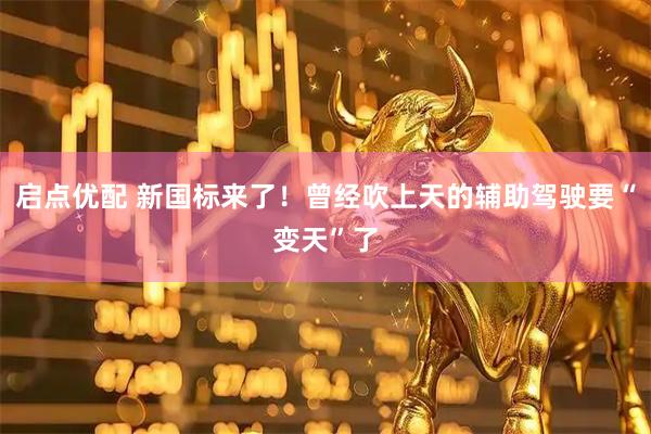 启点优配 新国标来了！曾经吹上天的辅助驾驶要“变天”了
