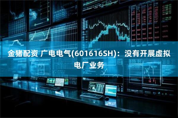 金猪配资 广电电气(601616SH)：没有开展虚拟电厂业务