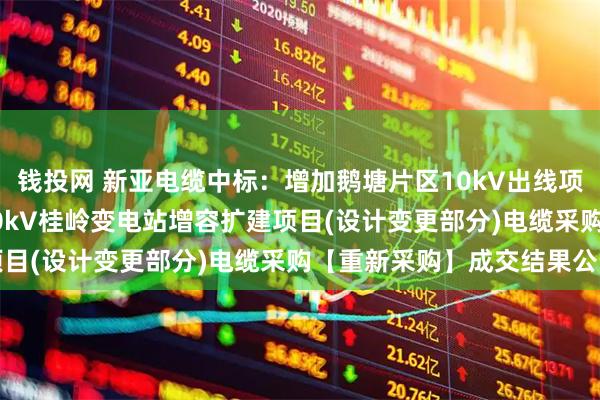 钱投网 新亚电缆中标：增加鹅塘片区10kV出线项目10kV电力电缆、110kV桂岭变电站增容扩建项目(设计变更部分)电缆采购【重新采购】成交结果公告