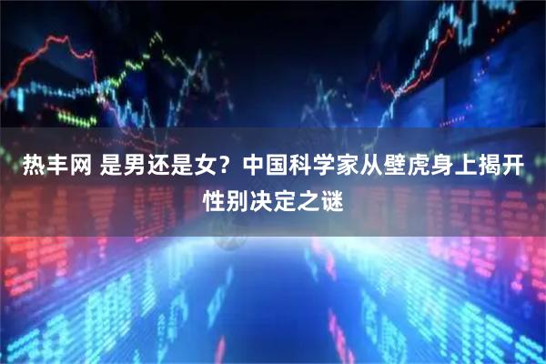 热丰网 是男还是女？中国科学家从壁虎身上揭开性别决定之谜