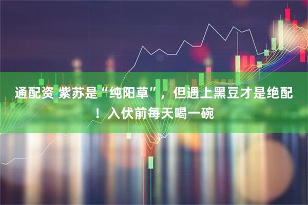 通配资 紫苏是“纯阳草”，但遇上黑豆才是绝配！入伏前每天喝一碗
